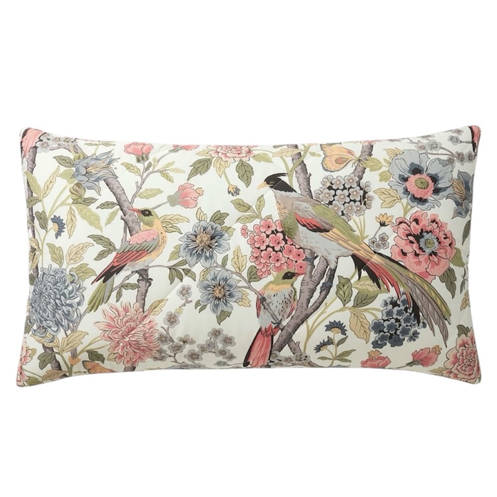 2 Pottery Barn Bloom King Shams Ivory